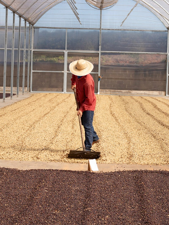 Brazil, Santa Izabel