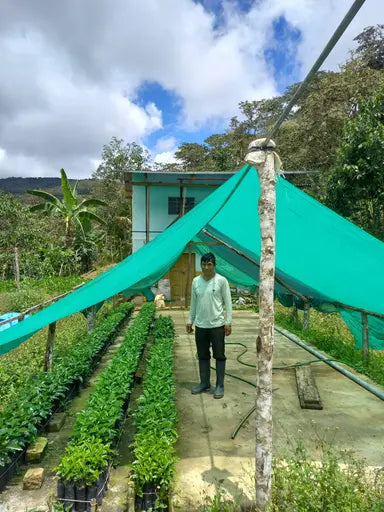 Peru, Paititi B2B