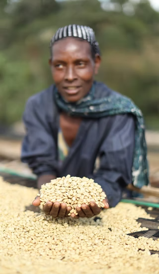 Ethiopia, Malawo, Heirloom