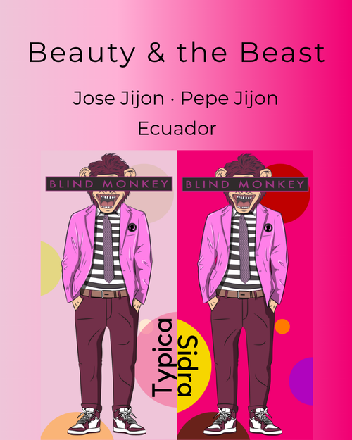 Beauty & the Beast Box Set B2B