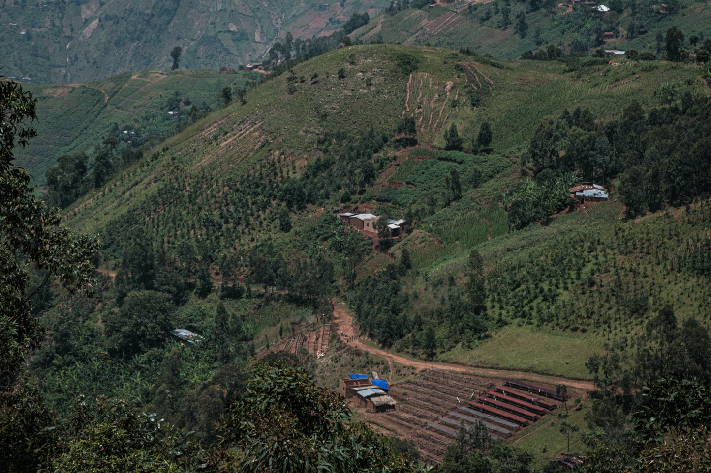 Burundi, Mutambu, Lot 25