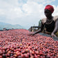 Burundi, Mutambu, Lot 25