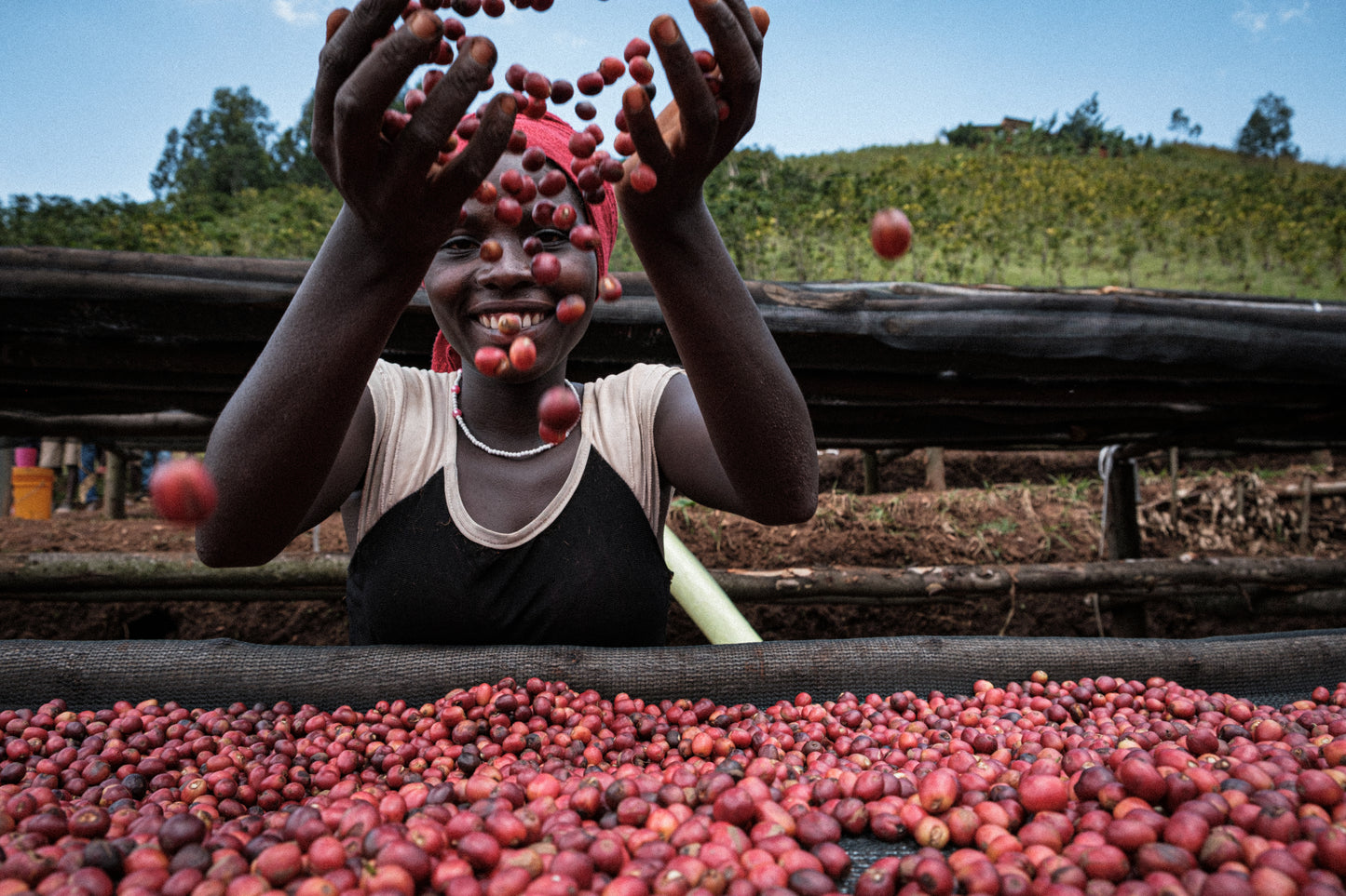 Burundi, Mutambu, Lot 25