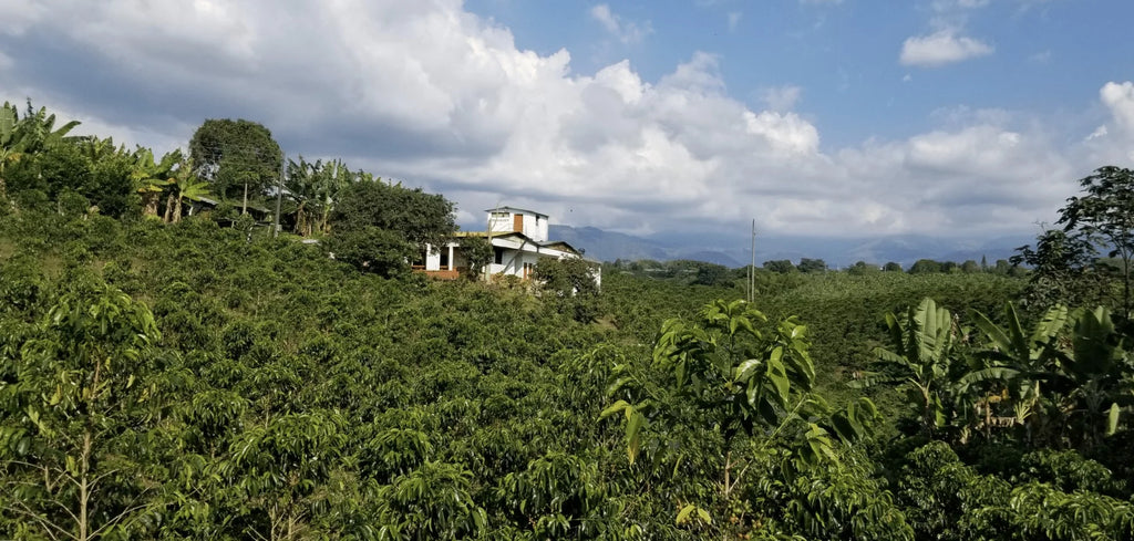 Colombia, Santa Mónica