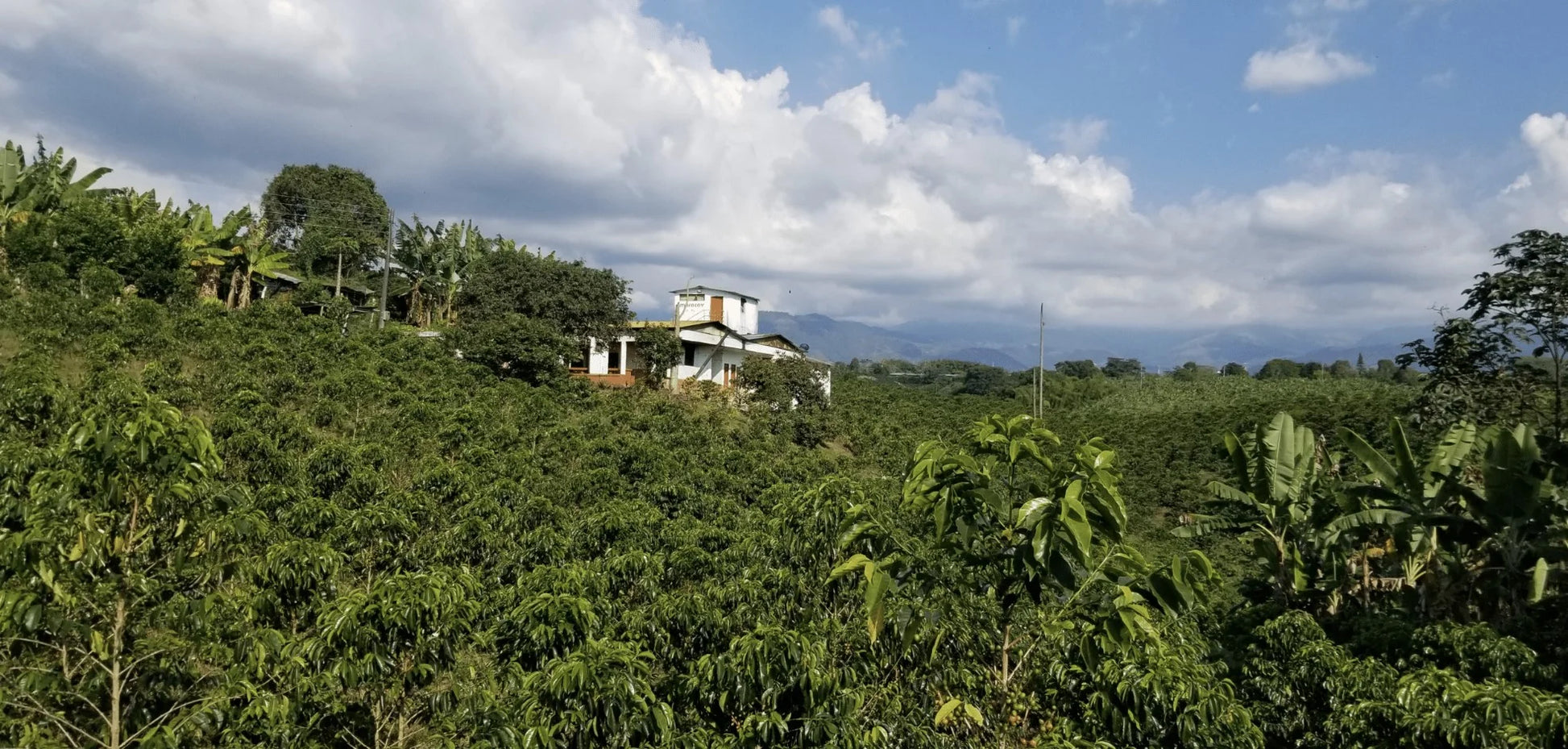 Colombia, Santa Mónica