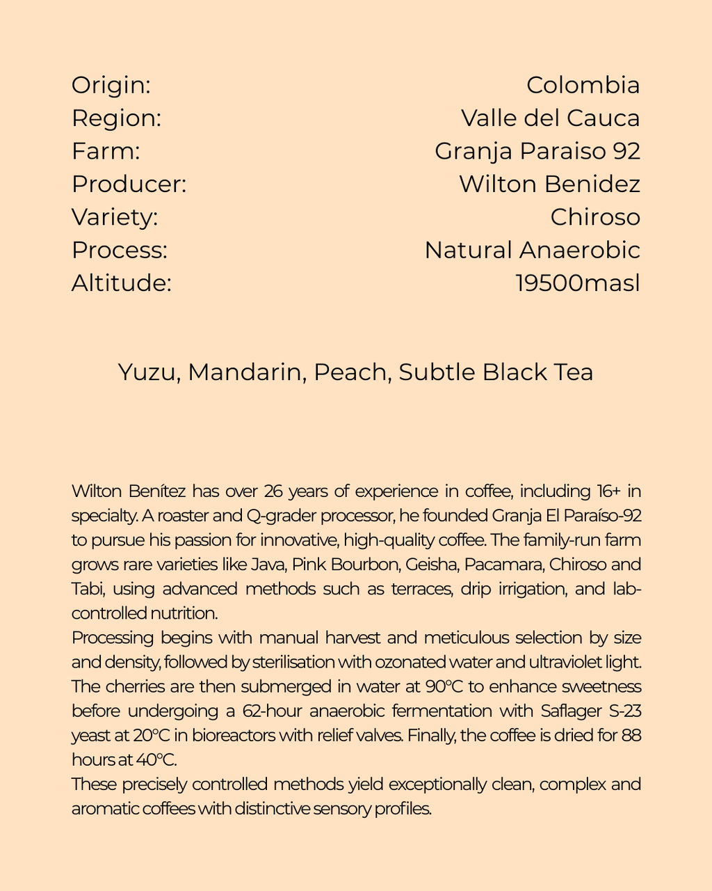 Colombia, Granja Paraiso 92, Chiroso