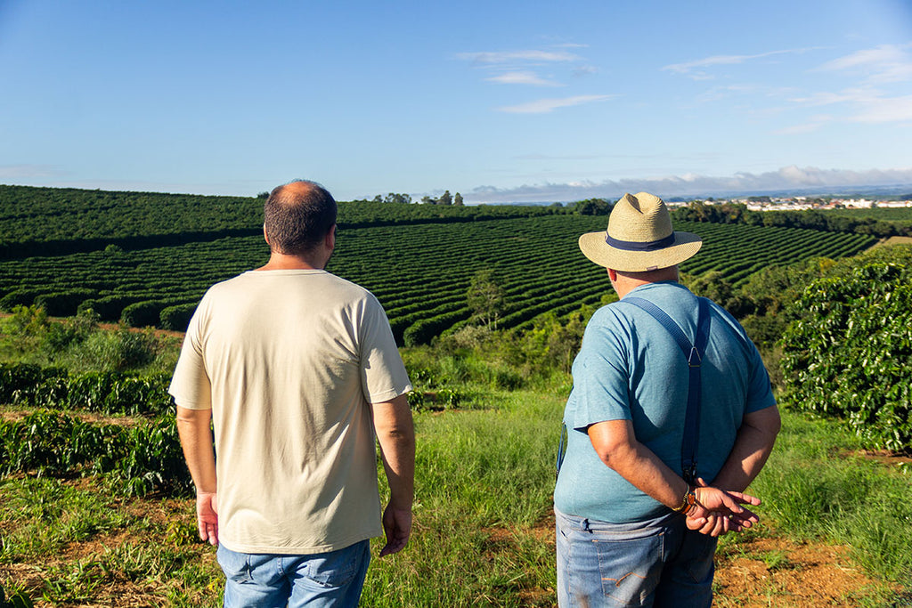 Brazil,  Fazenda Inhame, Volcano