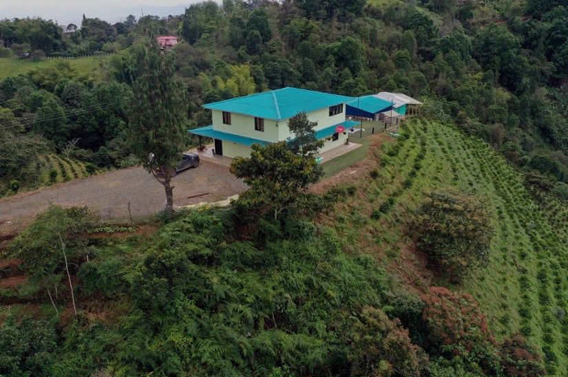 Colombia, Granja Paraiso 92, Caturra