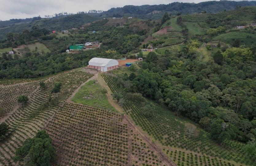 Colombia, Granja Paraiso 92 Tabi