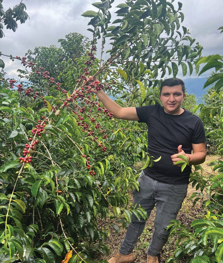 Colombia, El Diviso