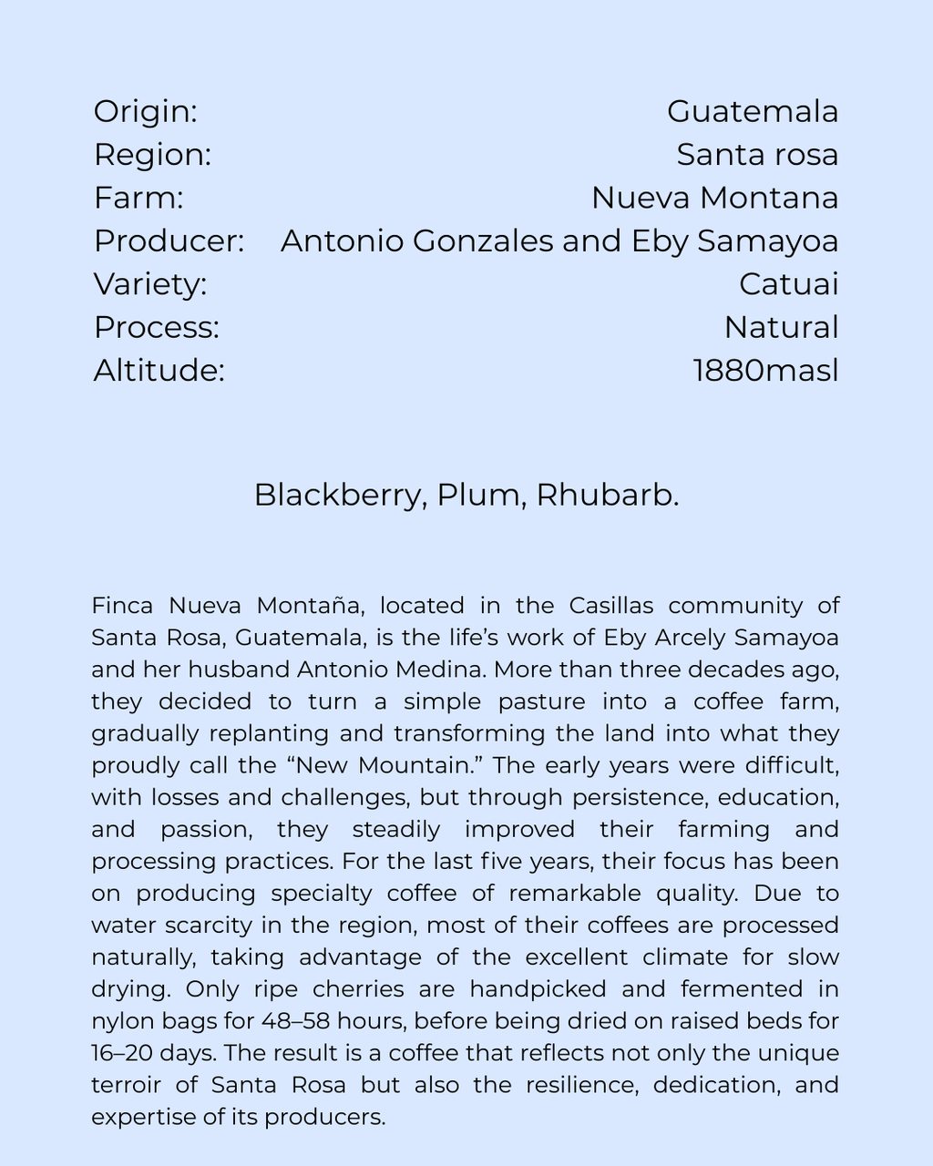 Guatemala, Nueva Montaña