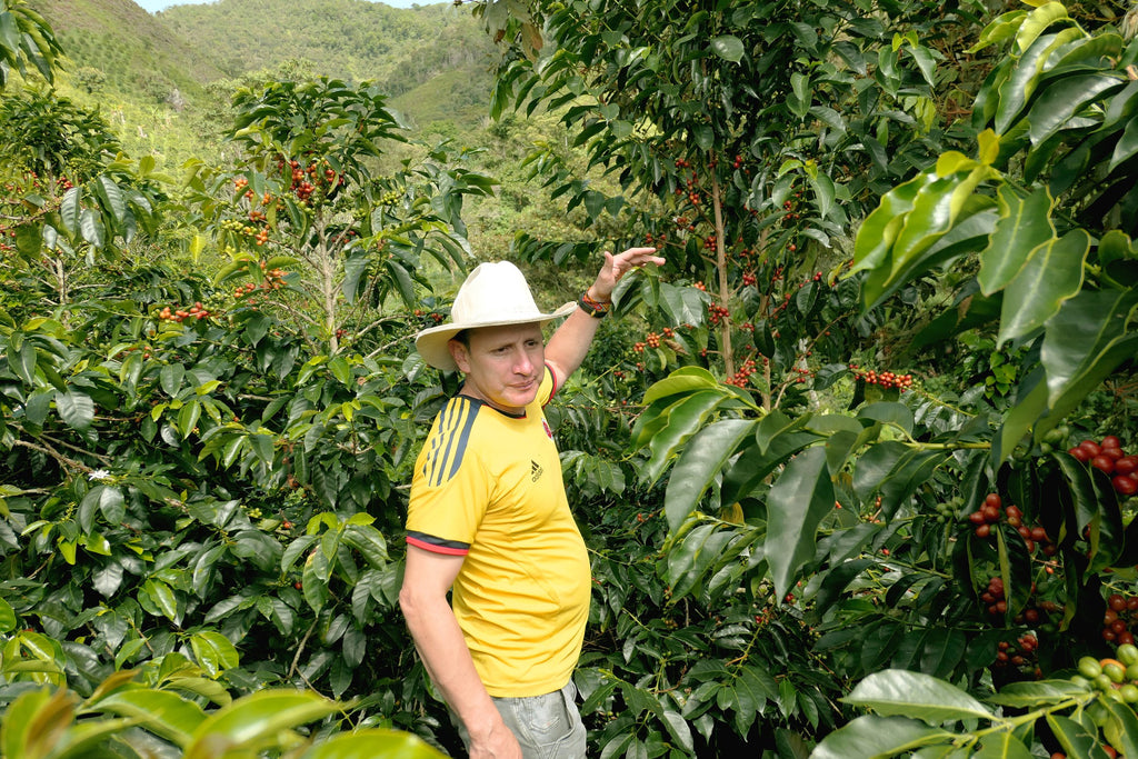 Colombia, Betania