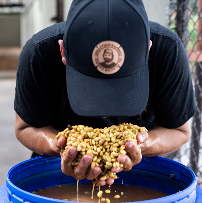 Colombia, El Placer, Gesha