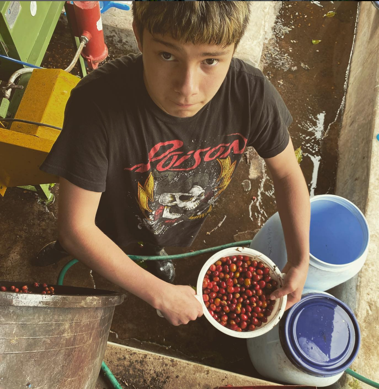 Ecuador, Finca Putushio, Typica Mejorado