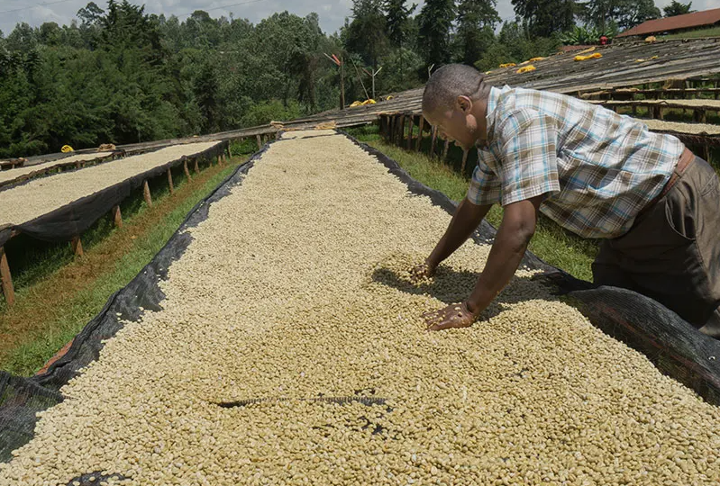 Kenya, Top Masai