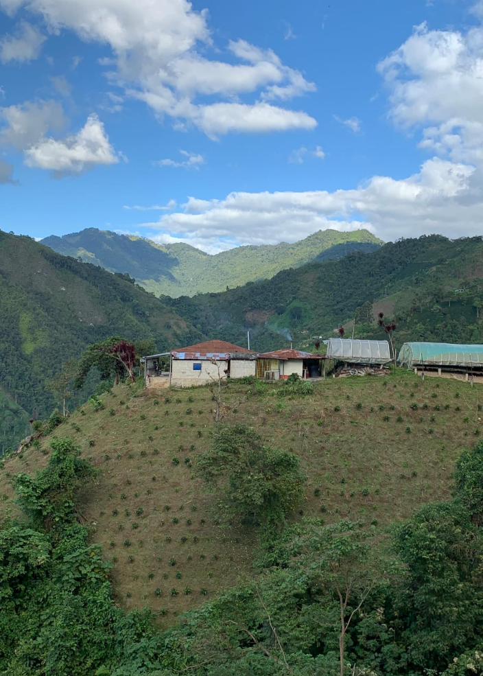 Colombia, El Recreo