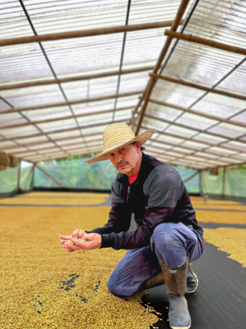 Colombia, La Palma, Pink Bourbon