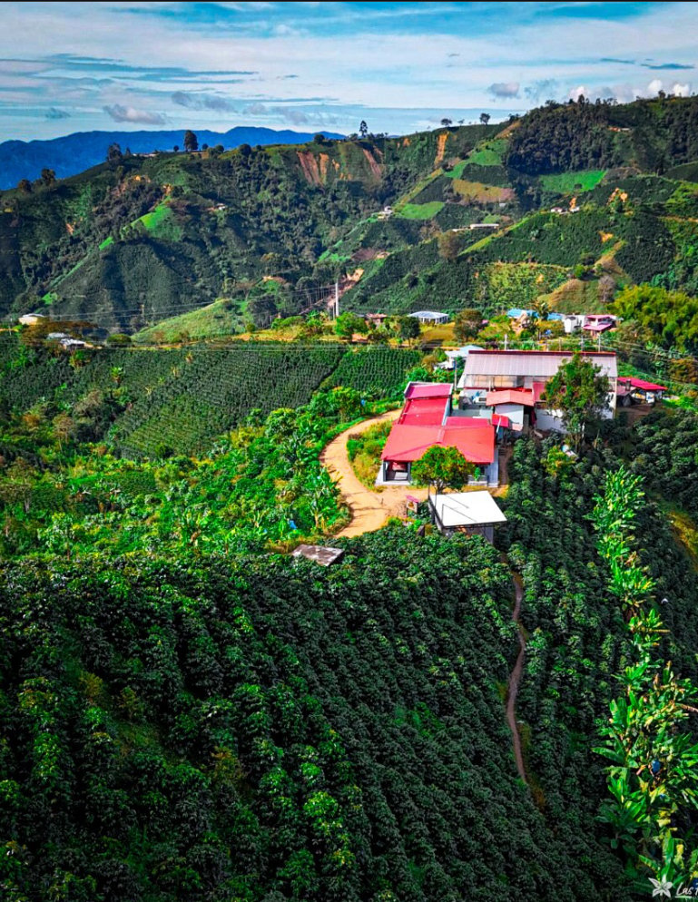 Colombia, Las Flores, Ombligón
