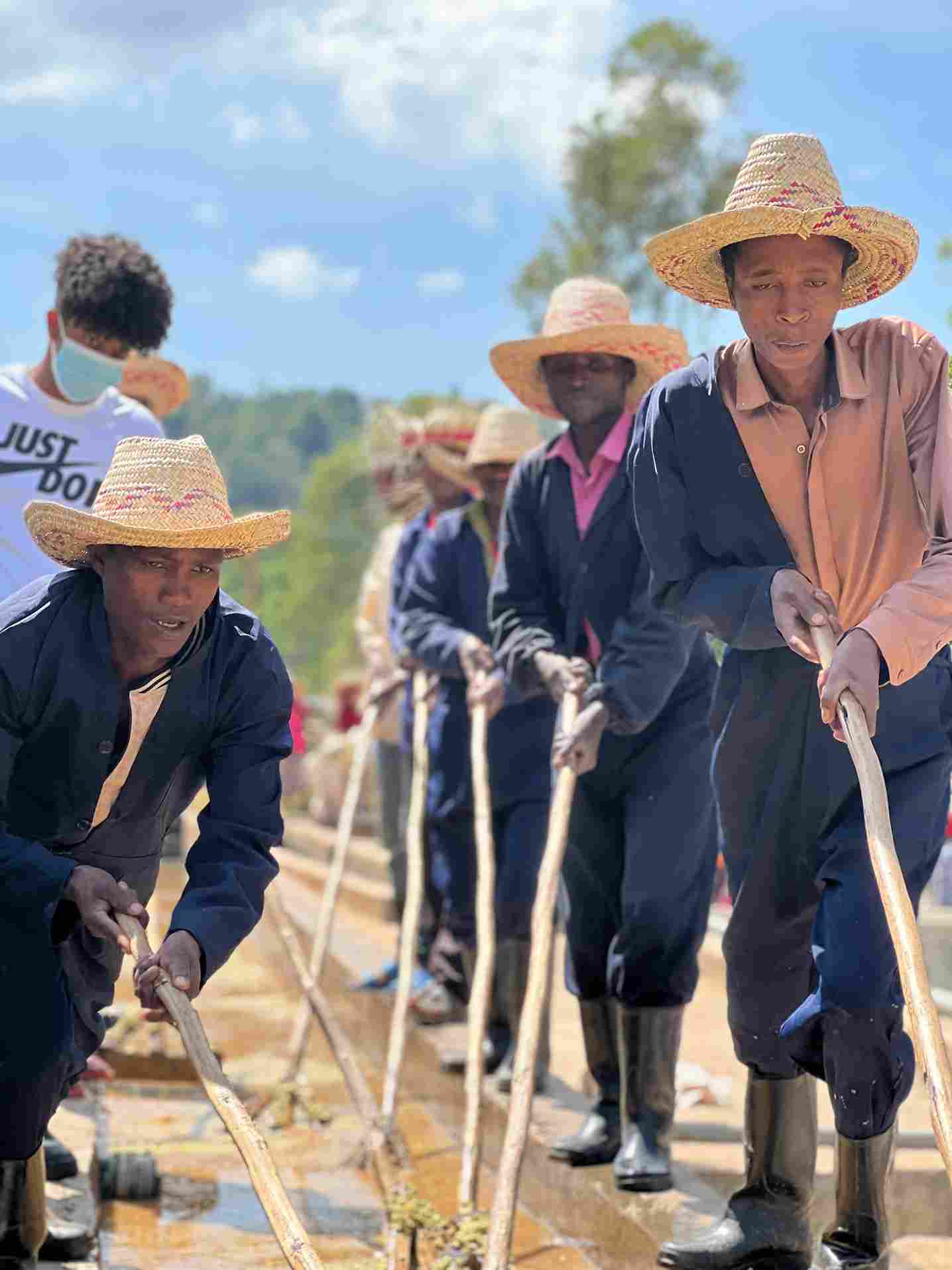 Ethiopia, Yirgacheffe Idido