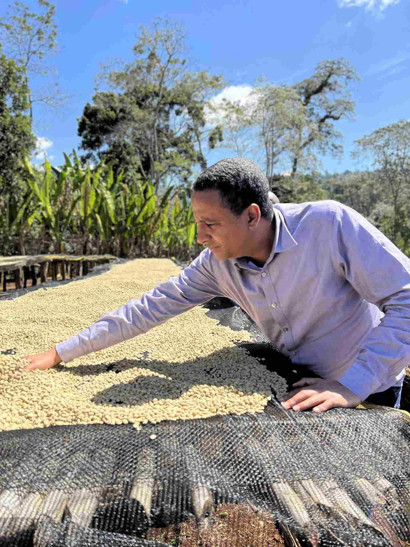 Ethiopia, Yirgacheffe Idido