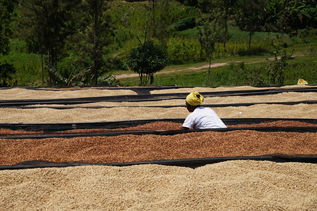Rwanda, Isano