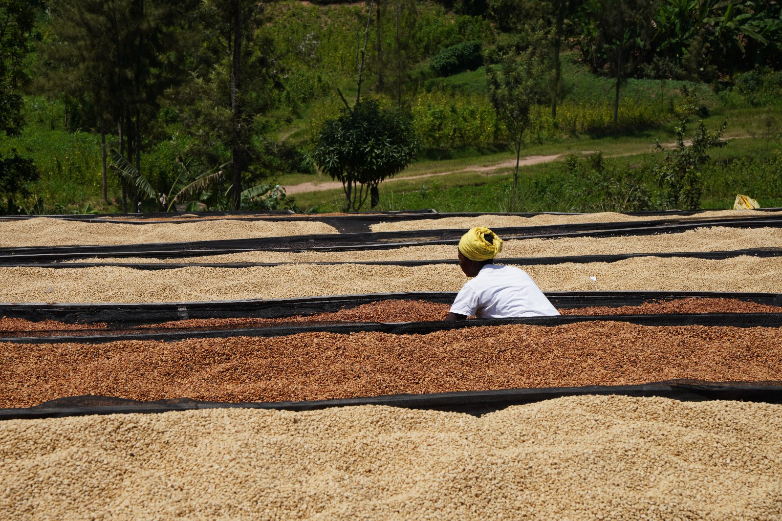 Rwanda, Isano