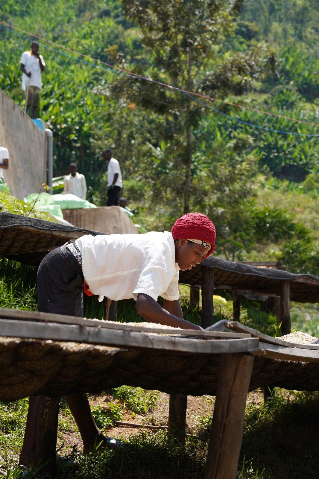 Rwanda, Isano