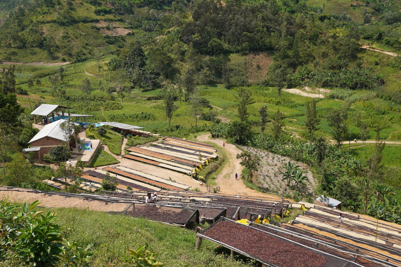 Rwanda, Isano