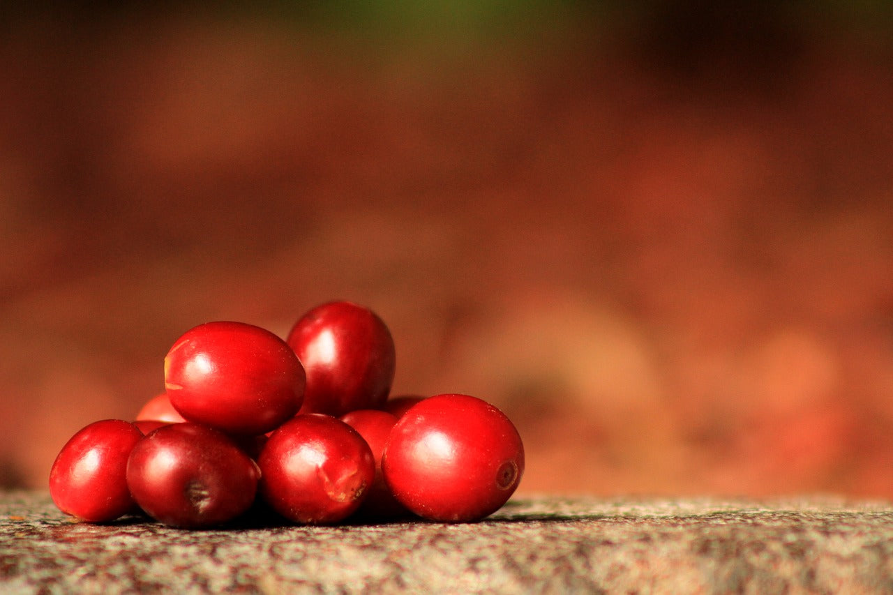 Ethiopia, Yirgacheffe Idido