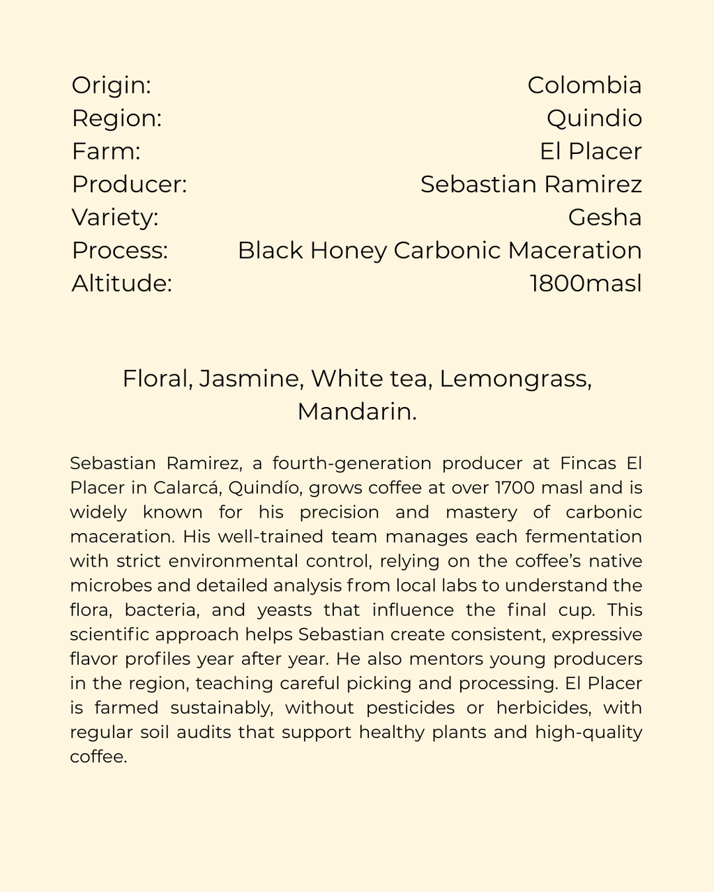 Colombia, El Placer, Gesha