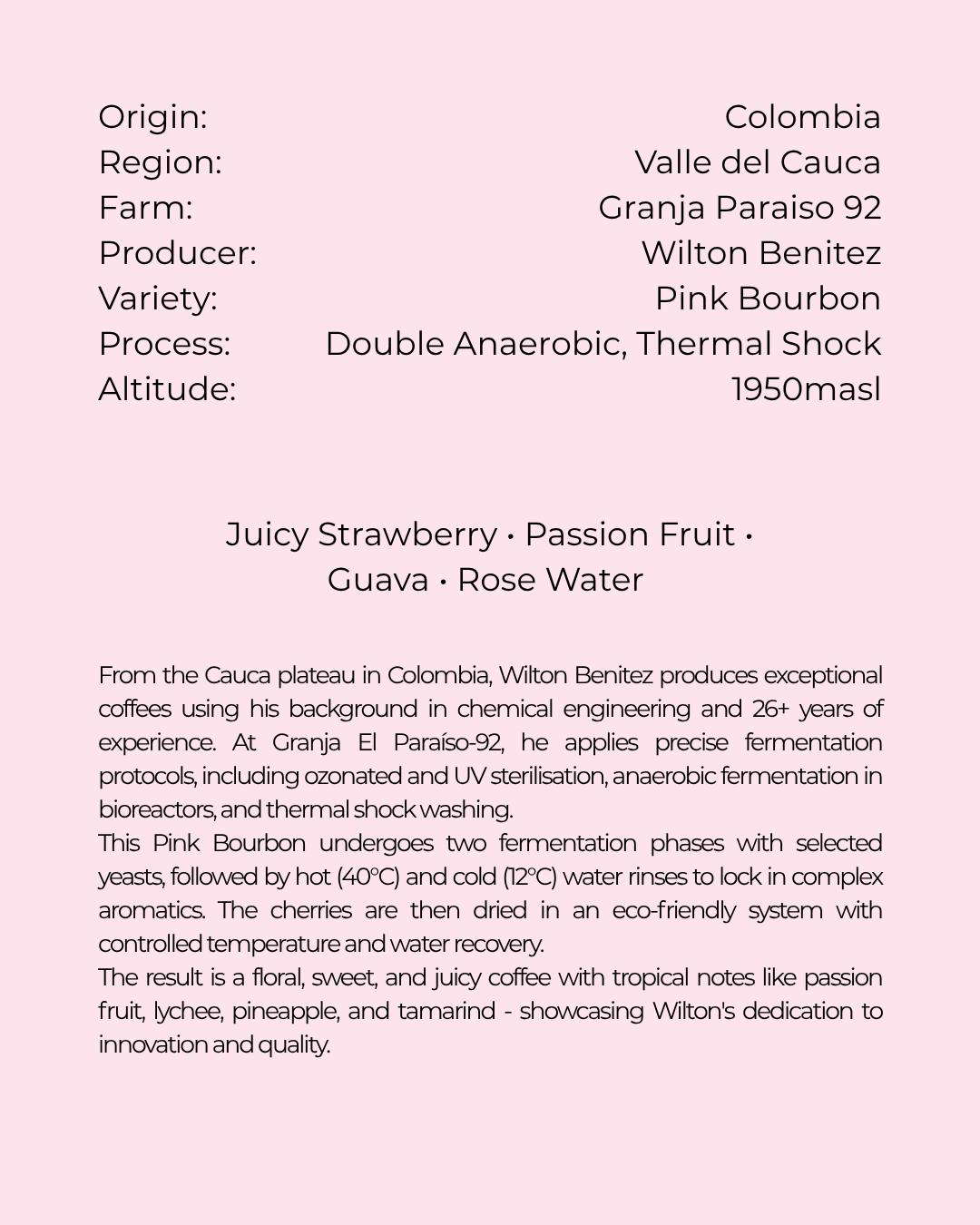 COMING SOON.  Colombia, Granja Paraiso 92 Pink Ballerina B2B
