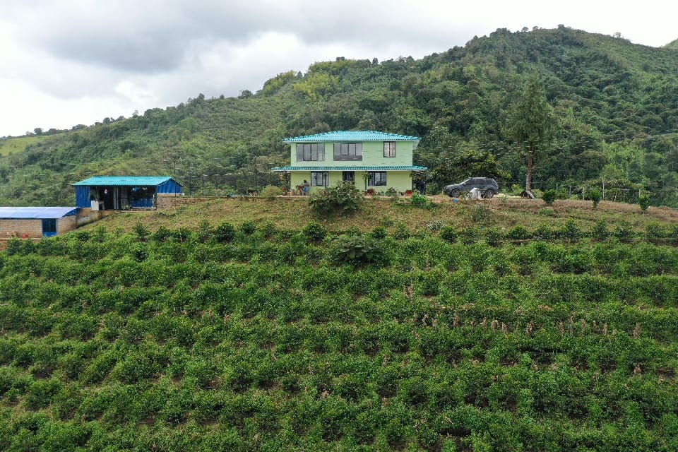 Colombia, Granja Paraiso 92 Tabi