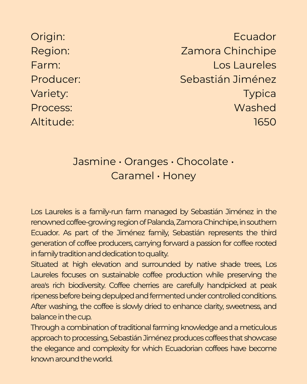 Ecuador, Los Laureles, Typica