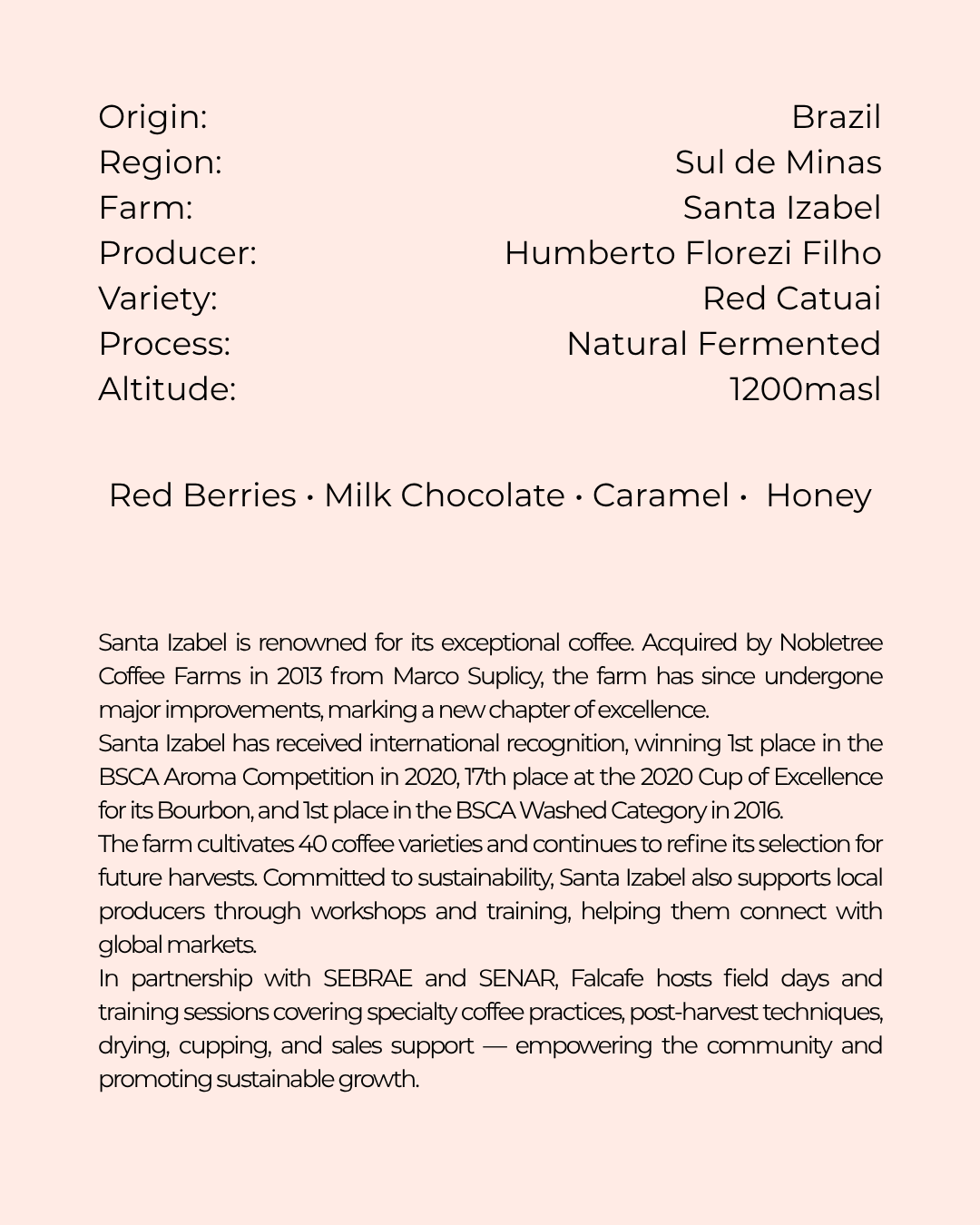 Brazil, Santa Izabel, Red Catuai
